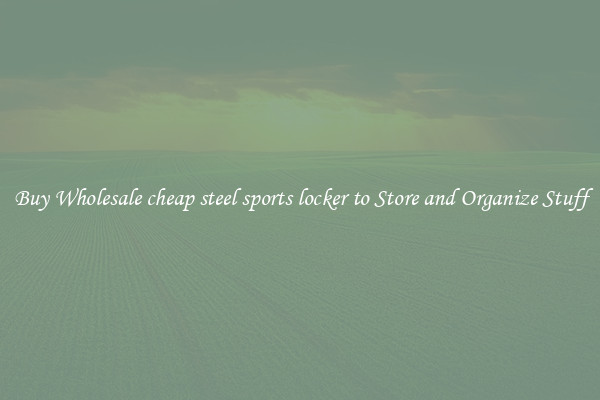 Buy Wholesale cheap steel sports locker to Store and Organize Stuff