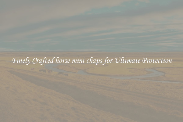 Finely Crafted horse mini chaps for Ultimate Protection