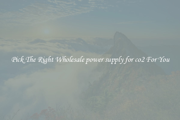 Pick The Right Wholesale power supply for co2 For You