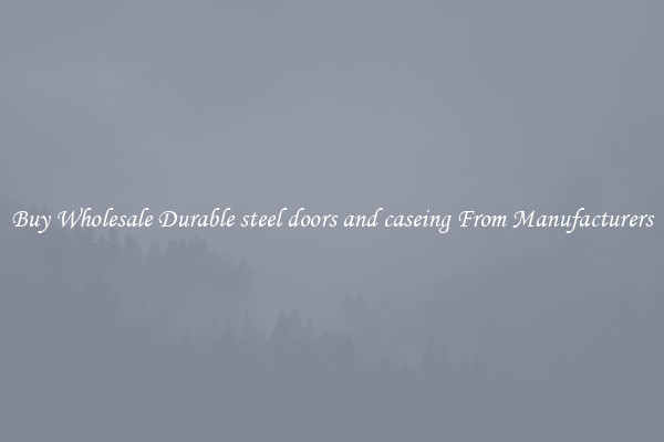 Buy Wholesale Durable steel doors and caseing From Manufacturers