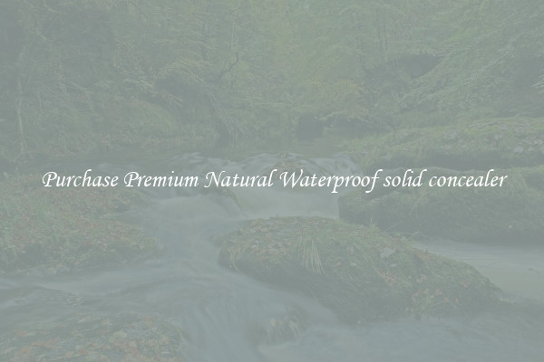 Purchase Premium Natural Waterproof solid concealer