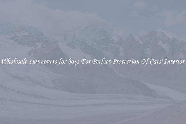 Wholesale seat covers for boys For Perfect Protection Of Cars' Interior 