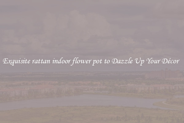 Exquisite rattan indoor flower pot to Dazzle Up Your Décor  