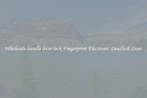 Wholesale handle lever lock Fingerprint Electronic Deadbolt Door 