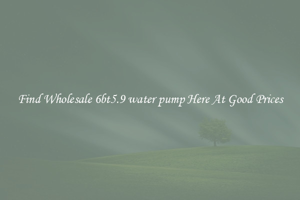 Find Wholesale 6bt5.9 water pump Here At Good Prices