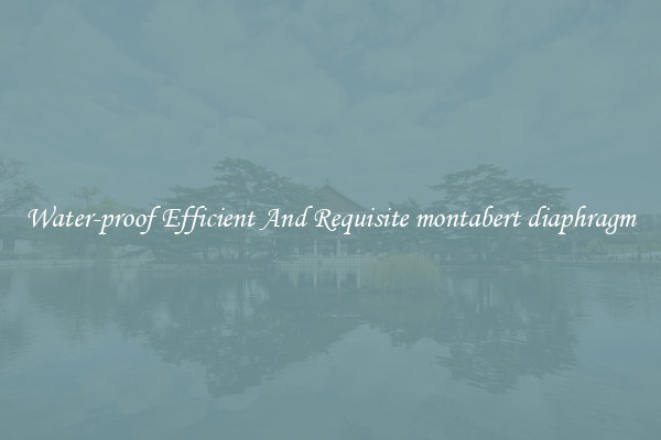 Water-proof Efficient And Requisite montabert diaphragm