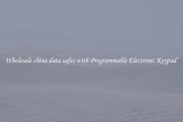 Wholesale china data safes with Programmable Electronic Keypad 