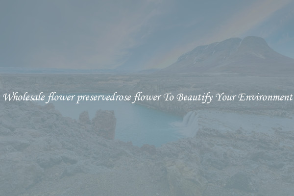 Wholesale flower preservedrose flower To Beautify Your Environment