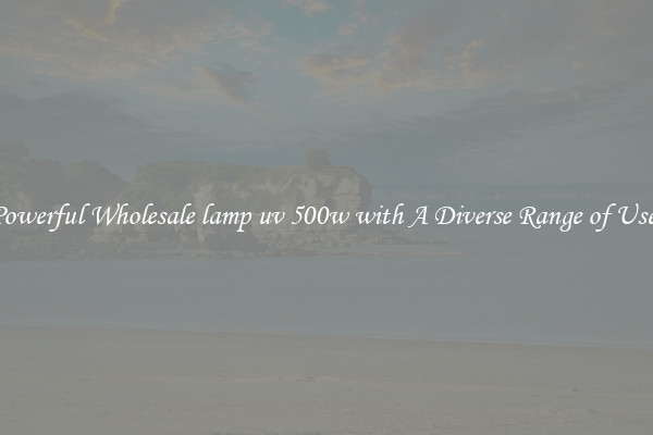 Powerful Wholesale lamp uv 500w with A Diverse Range of Uses