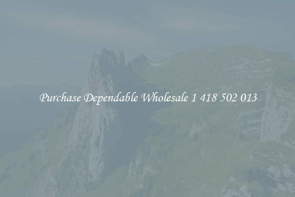 Purchase Dependable Wholesale 1 418 502 013