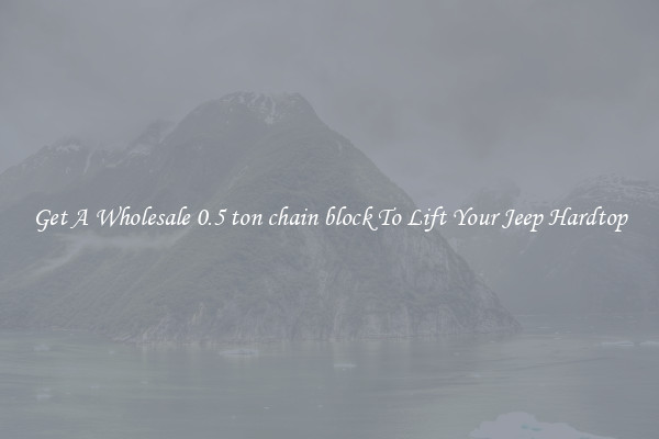Get A Wholesale 0.5 ton chain block To Lift Your Jeep Hardtop