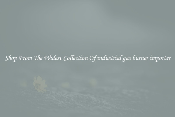  Shop From The Widest Collection Of industrial gas burner importer 