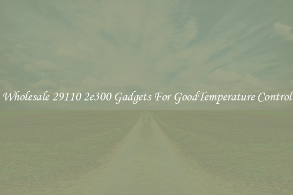 Wholesale 29110 2e300 Gadgets For GoodTemperature Control