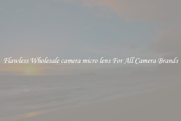 Flawless Wholesale camera micro lens For All Camera Brands