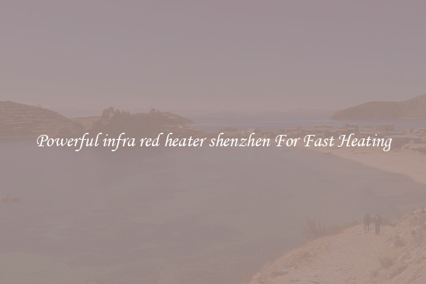 Powerful infra red heater shenzhen For Fast Heating