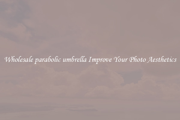 Wholesale parabolic umbrella Improve Your Photo Aesthetics